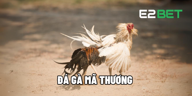đá gà mã thương
